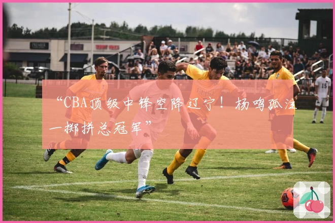 “CBA顶级中锋空降辽宁!杨鸣孤注一掷拼总冠军”