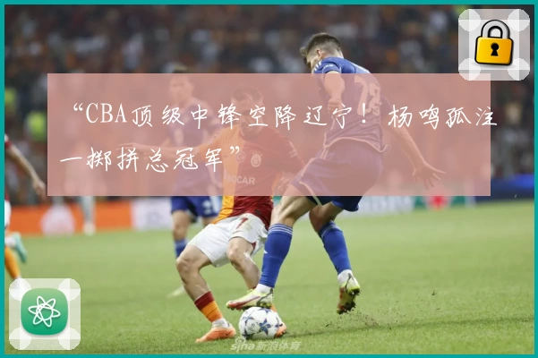“CBA顶级中锋空降辽宁!杨鸣孤注一掷拼总冠军”